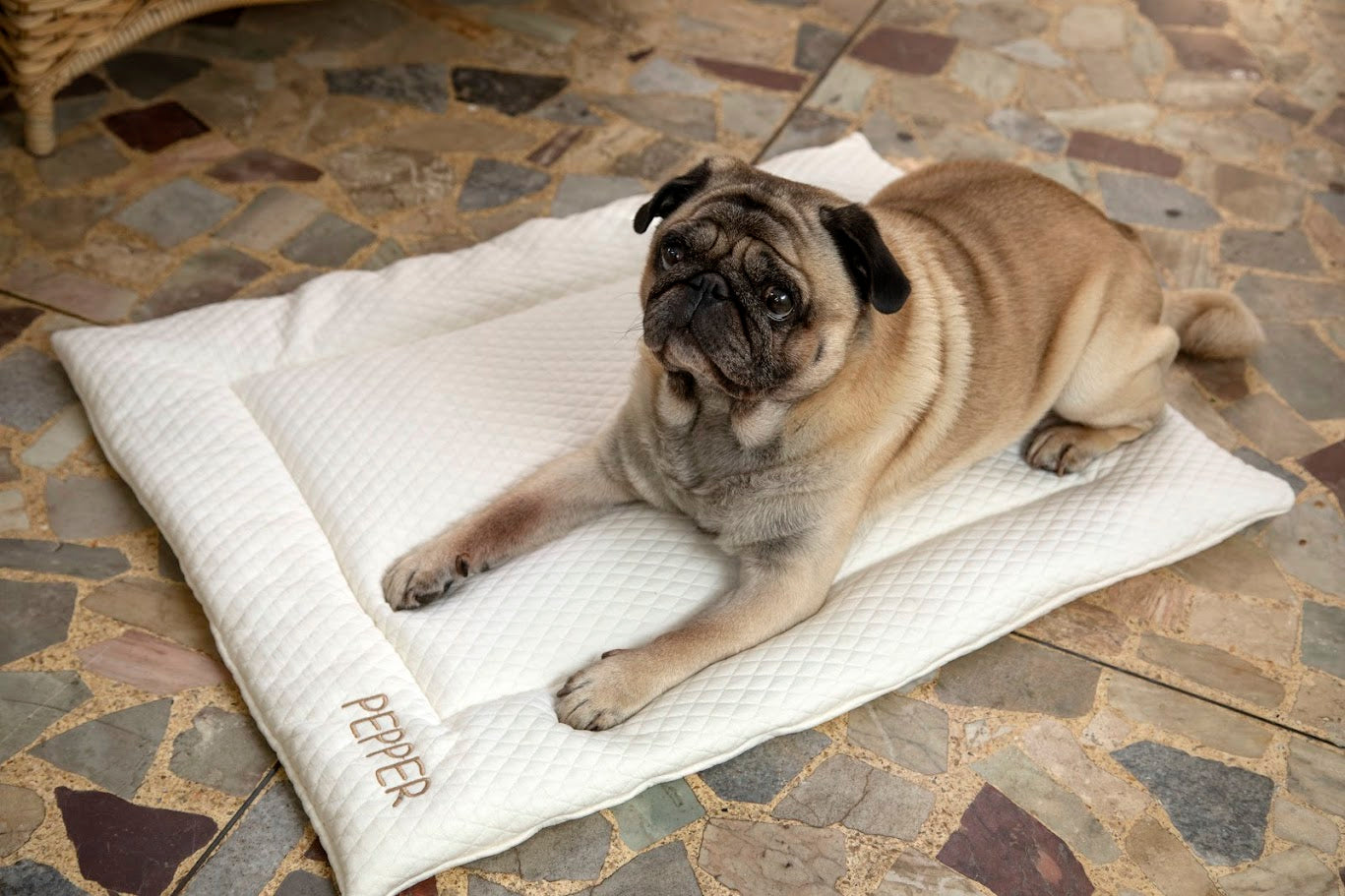 Colchonete Premium Pet