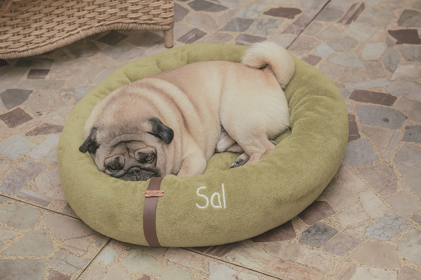 Cama Nuvem Pet