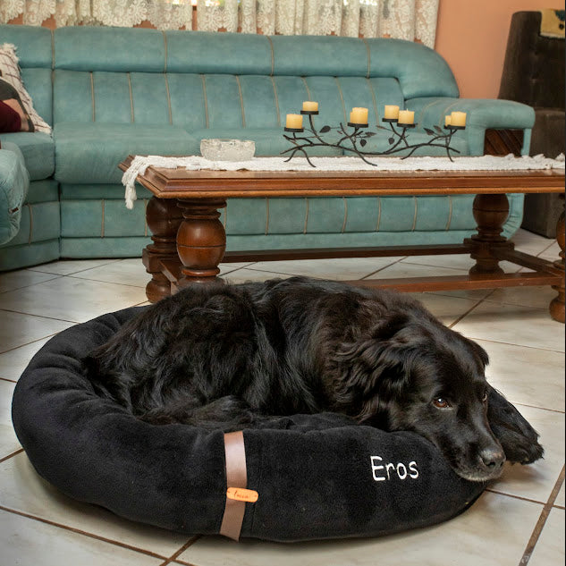 Cama Nuvem Pet