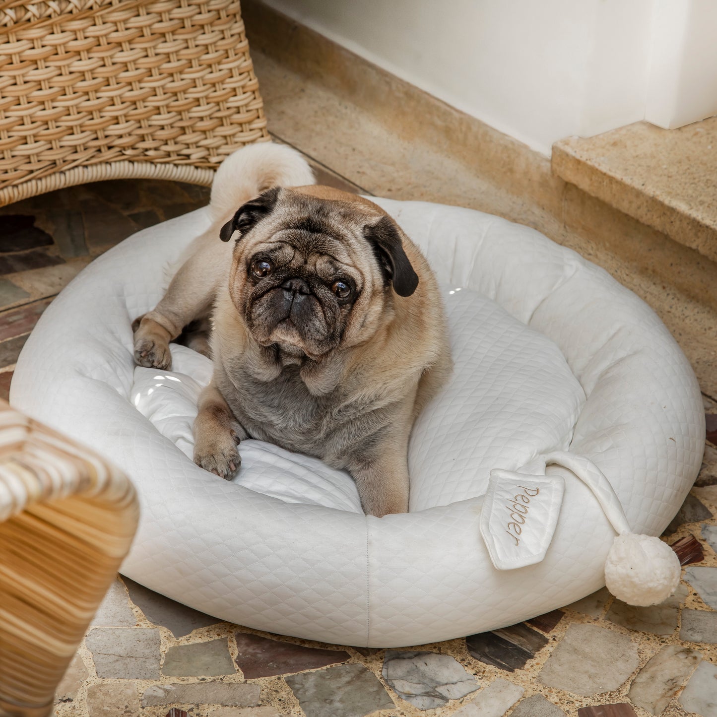 Cama Nuvem Verão Pet