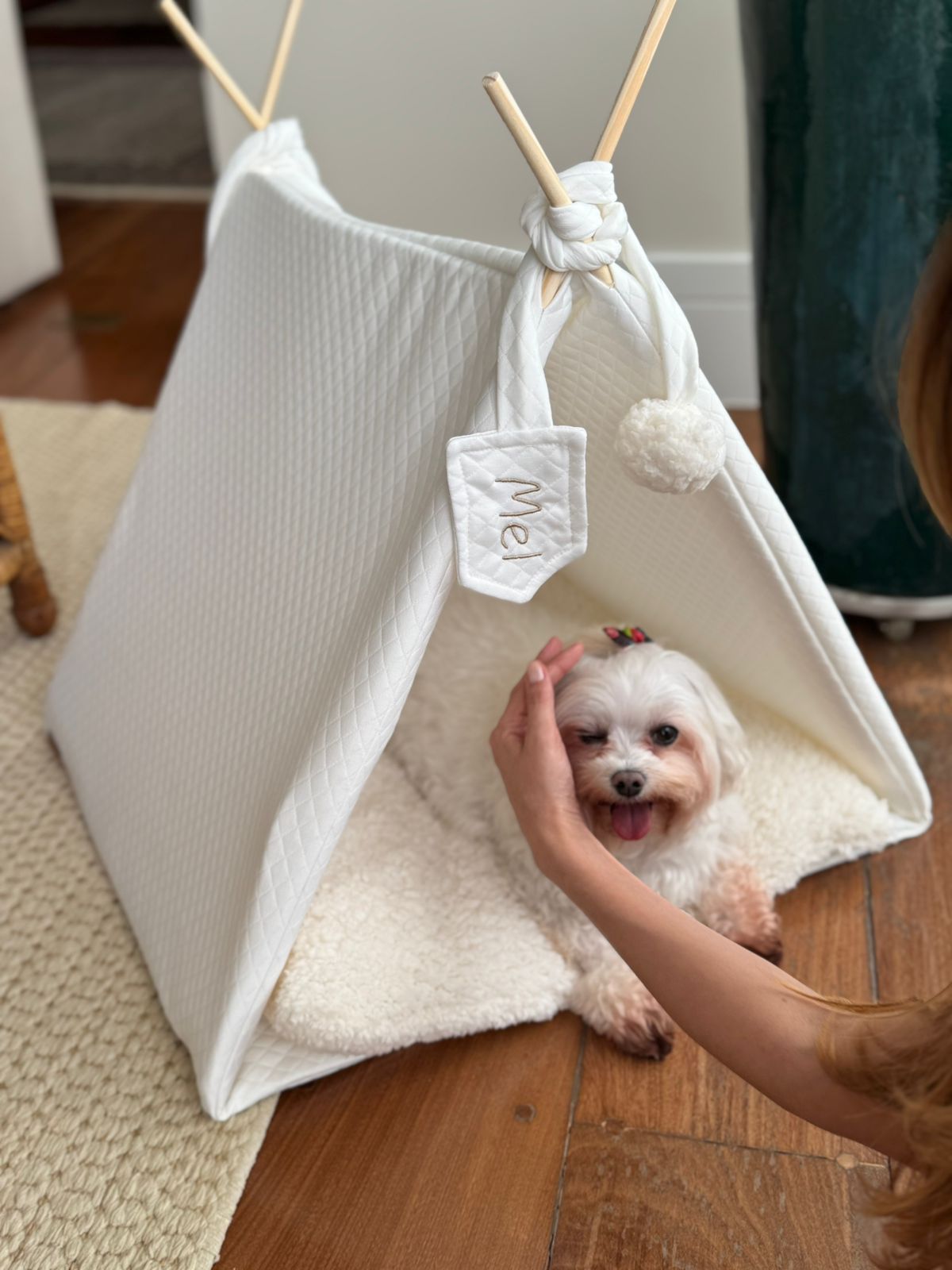 Casa Cama Pet - Cor Nude