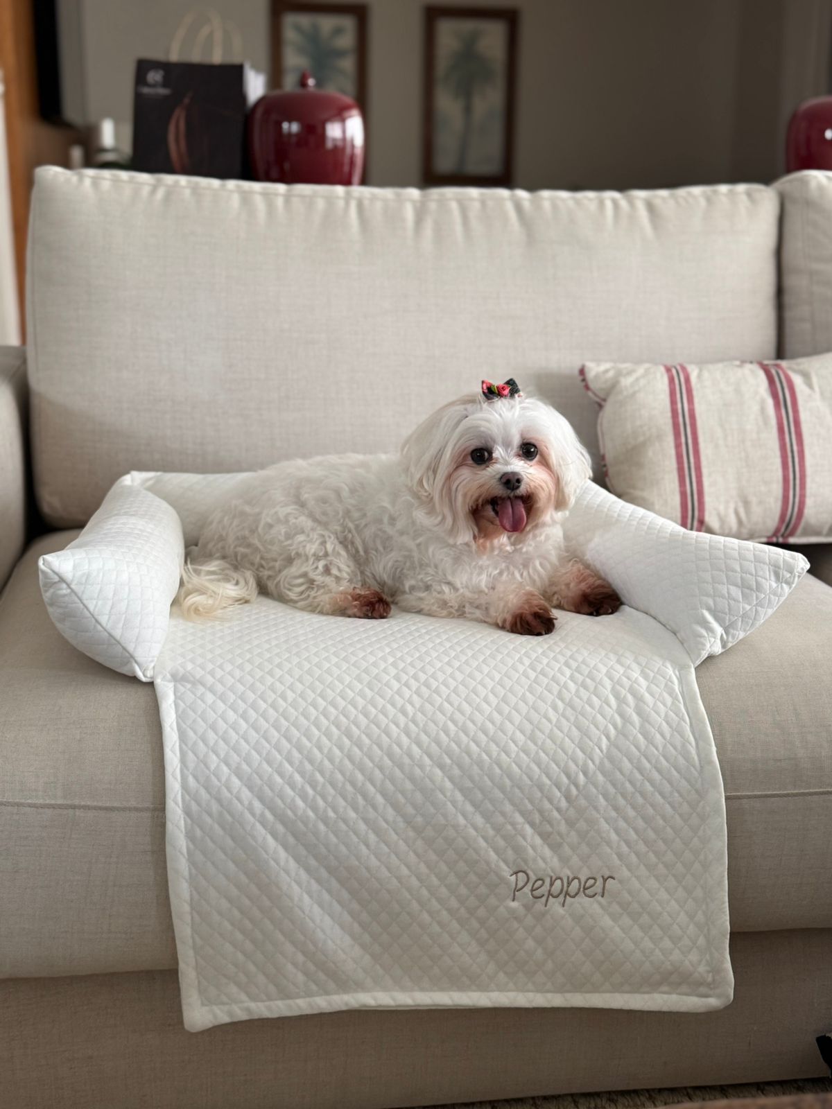 Cama de Sofá Pet
