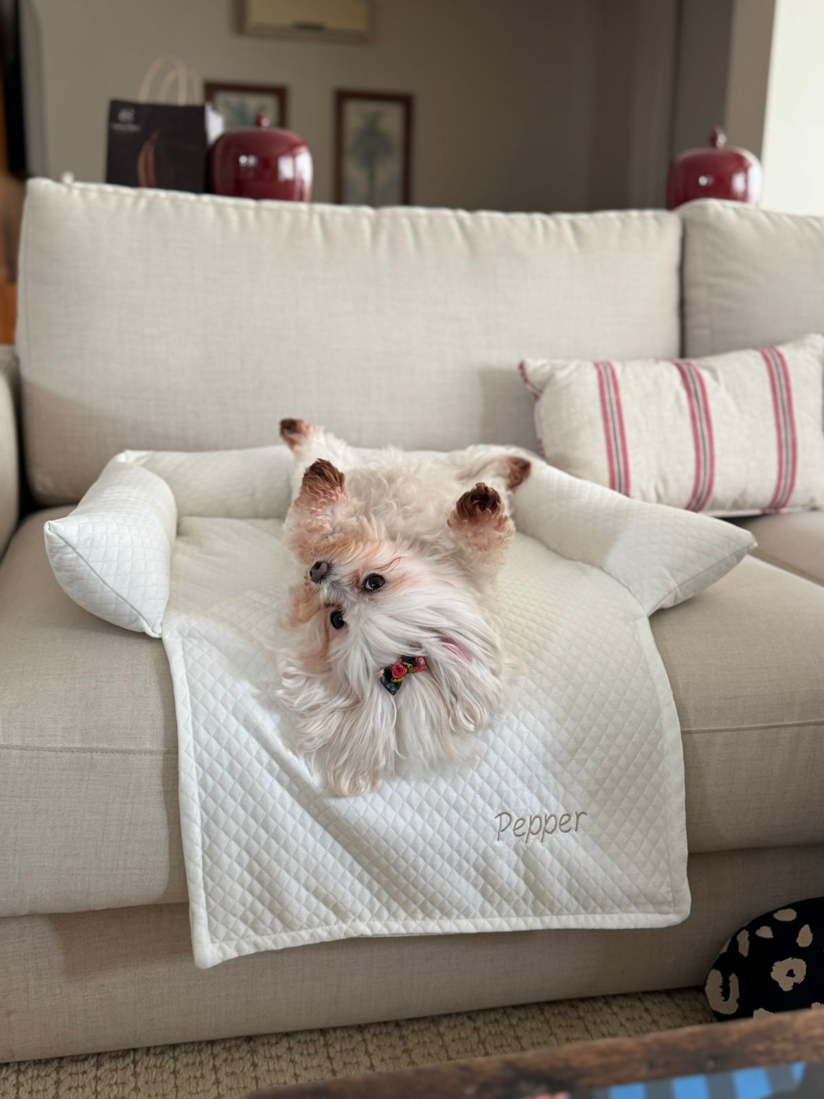 Cama de Sofá Pet