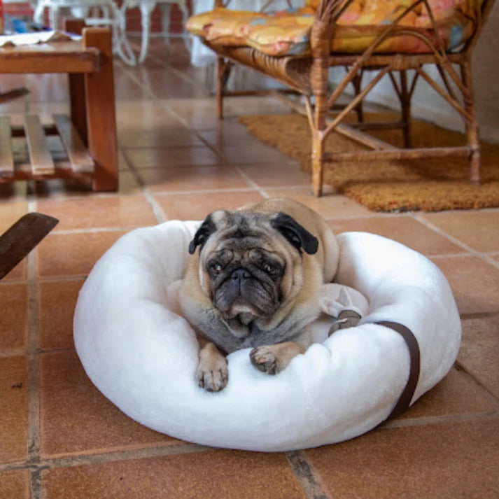 Cama Nuvem Pet