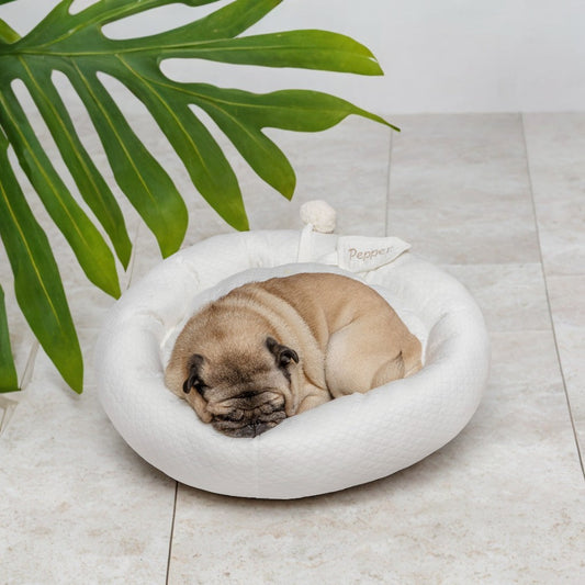 cama pet verão