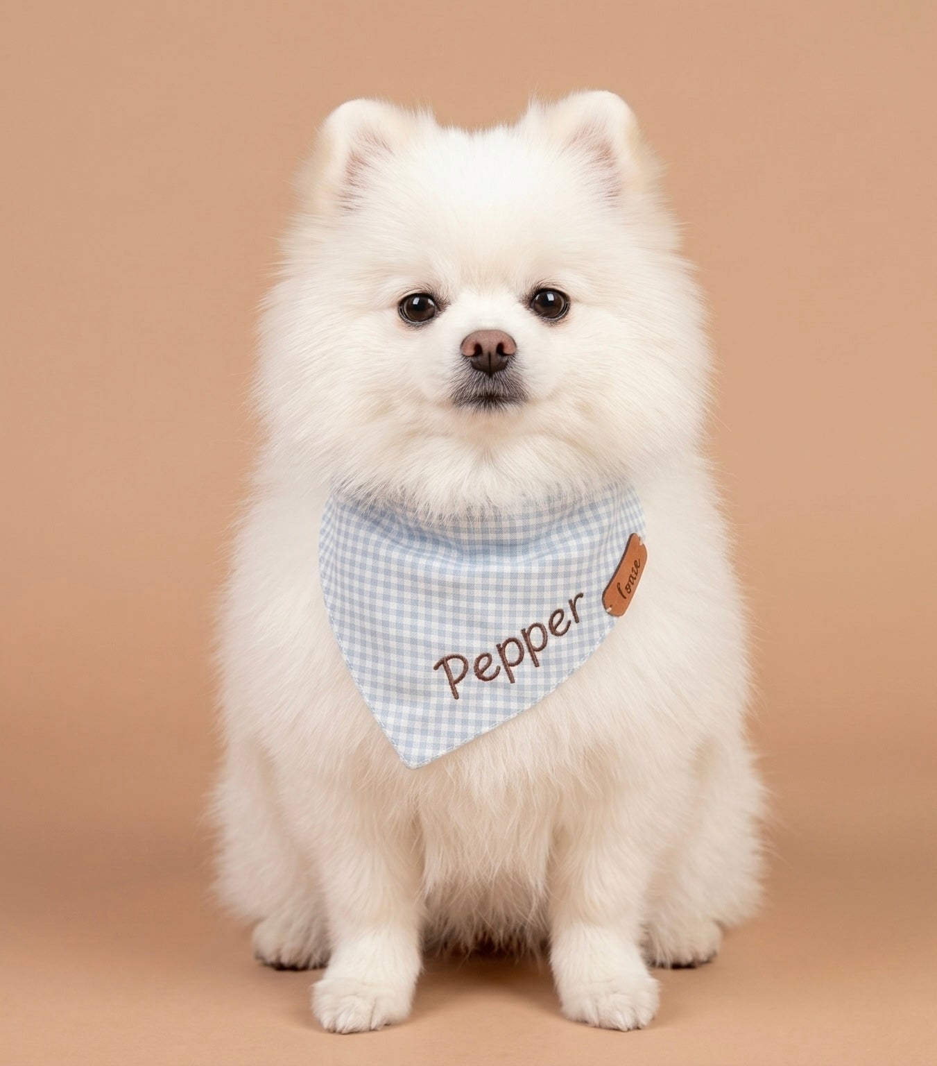 Bandana Pet Personalizada