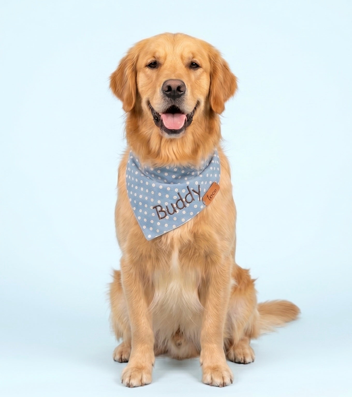 Bandana Pet Personalizada