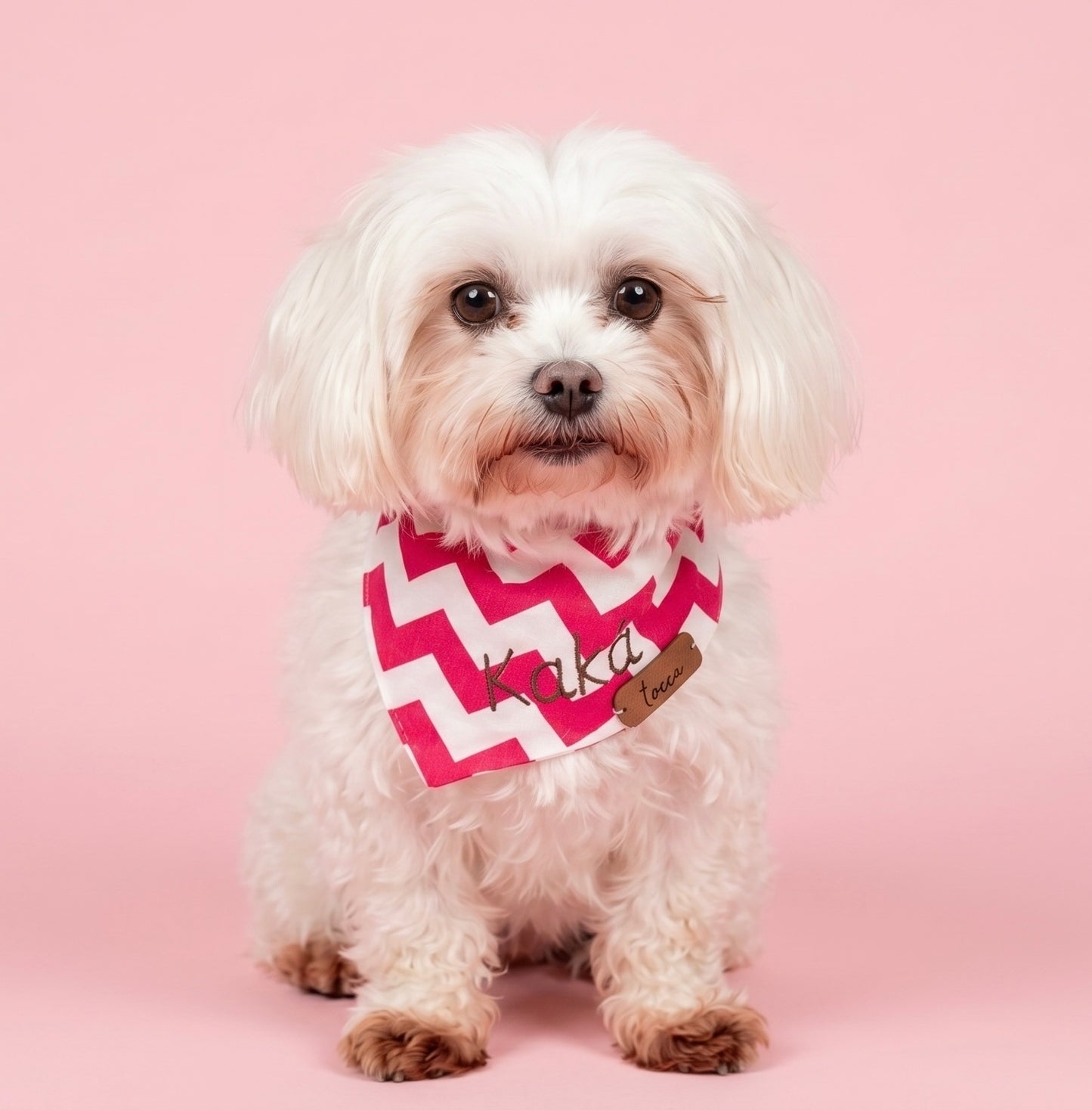 Bandana Pet Personalizada