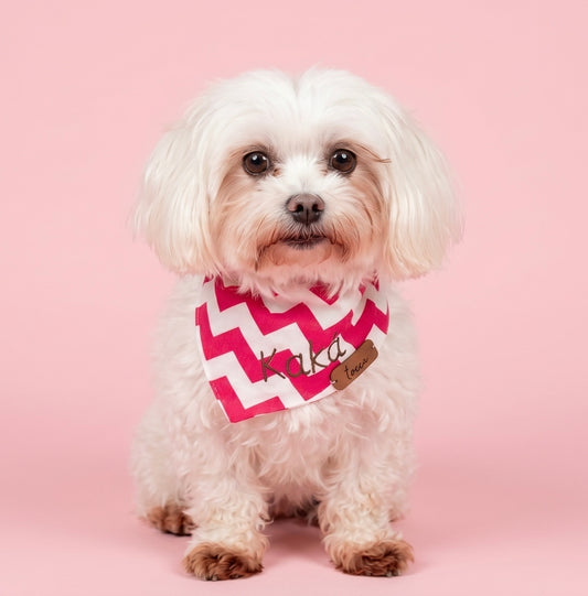 Bandana Pet Personalizada