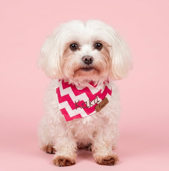 Bandana Pet Personalizada