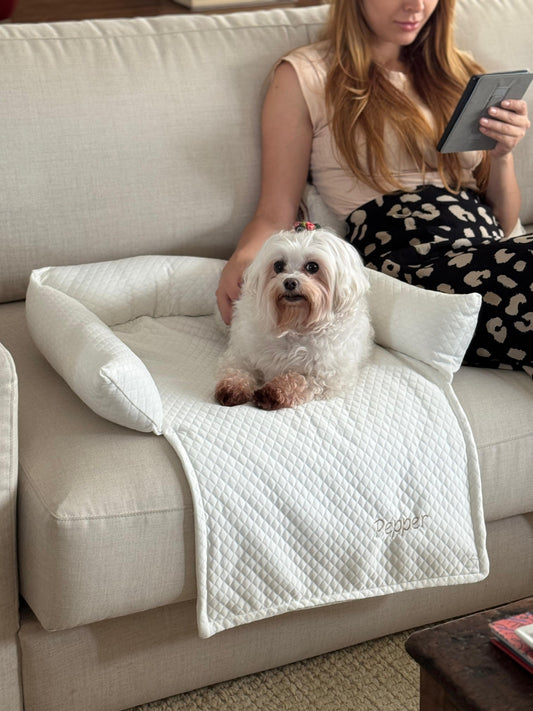 Cama de Sofá Pet